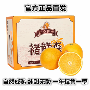 云南哀牢山褚橙之乡甜橙子褚鲜森10斤礼盒箱包邮现摘新水果冰糖橙