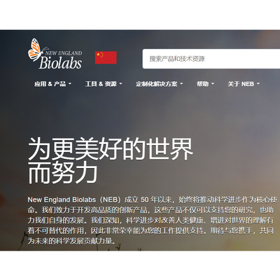 XhoIR0146LNEB内切酶