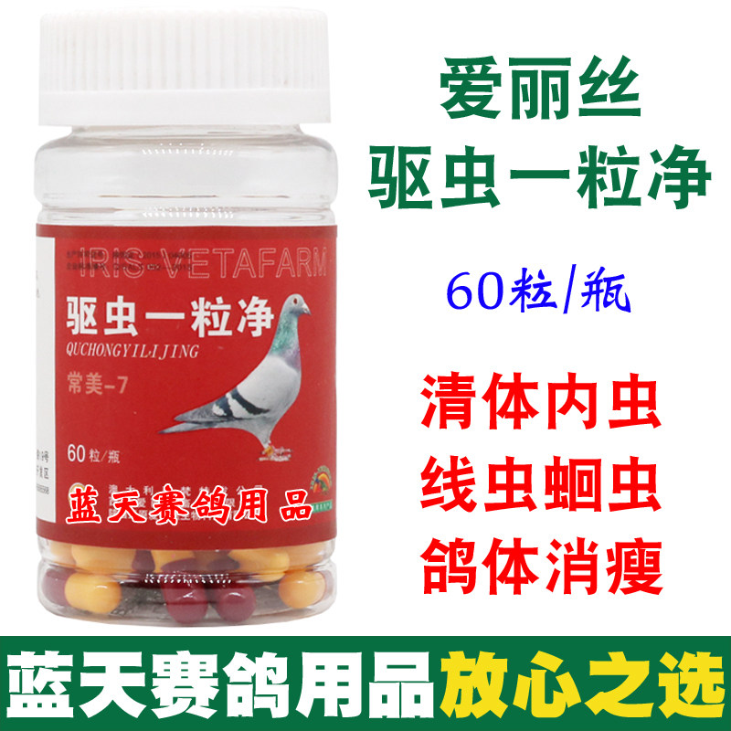 鸽子药大全爱丽丝驱虫一粒净种幼赛鸽清理体内肠道寄生虫信鸽药