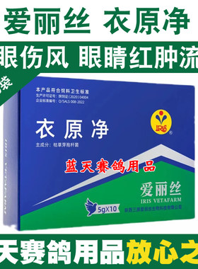 鸽子鹦鹉鸟单眼伤风爱丽丝衣原净