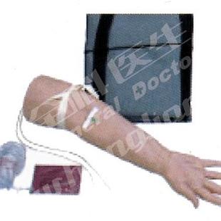 HS34 高级婴儿腿部静脉穿刺模型GD