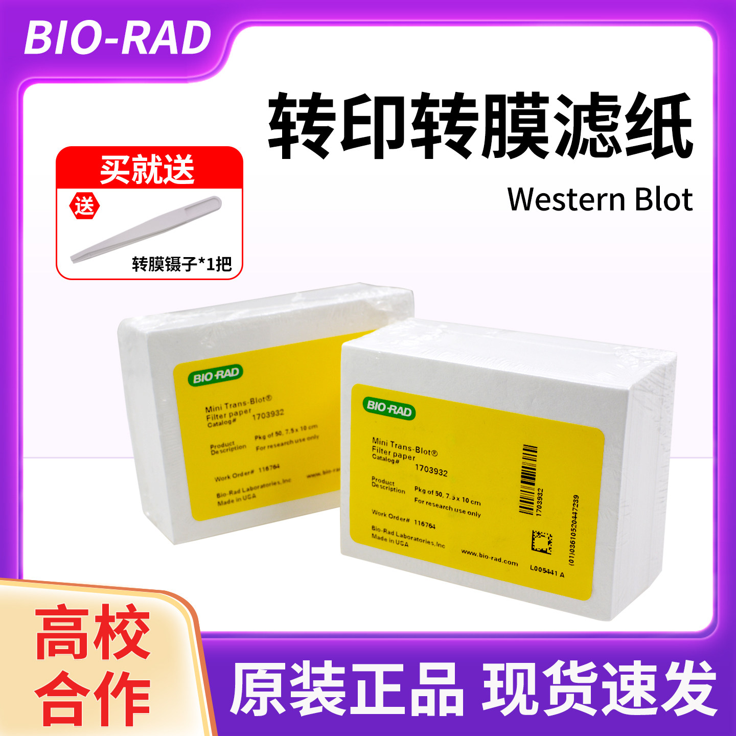 伯乐Western blot转膜转印湿转wb厚滤纸1703965/1703932天能六一,工业油品/胶粘/化学/实验室用品,滤纸,淘宝优惠券,粉丝福利购,淘宝优惠卷