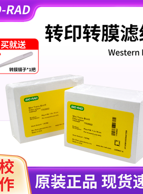 伯乐Western blot转膜转印湿转wb厚滤纸1703965/1703932天能六一