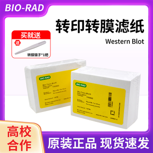 伯乐Western 1703932天能六一 blot转膜转印湿转wb厚滤纸1703965