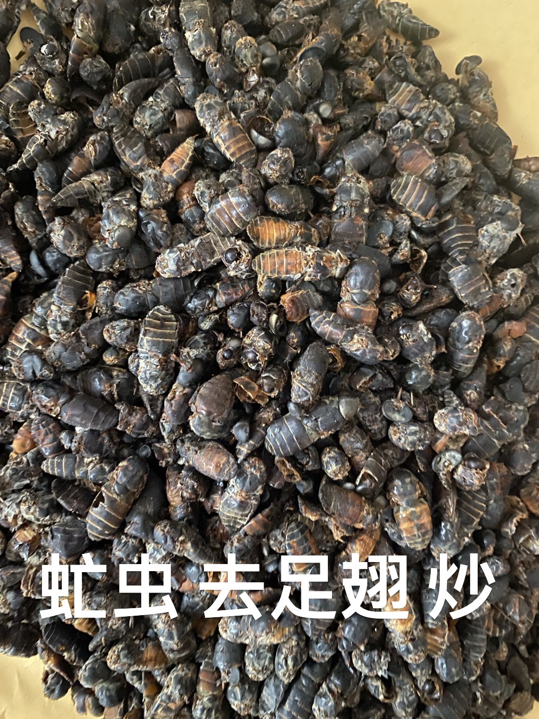 抵挡汤 虻虫去足翅 吸血水蛭 去皮尖桃仁 酒大黄 倪海厦