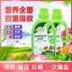 生长魔励浓缩型营养液花卉盆栽植物通用观叶水培绿萝蔬菜液体养花