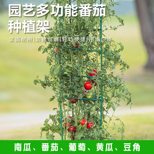 园艺多功能花盆西红柿支架番茄架子室外阳台种植架豆角黄瓜爬藤架