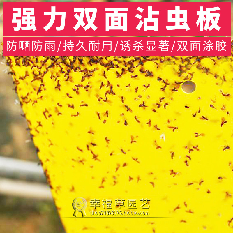 夏季大棚强力捕虫板诱虫板粘虫板黄板双面pvc捉虫板飞虫黑飞蚜虫,鲜花速递/花卉仿真/绿植园艺,其它园艺用品,淘宝优惠券,粉丝福利购,淘宝优惠卷
