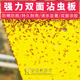 夏季 大棚强力捕虫板诱虫板粘虫板黄板双面pvc捉虫板飞虫黑飞蚜虫