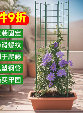 花架爬藤架铁线莲网格藤架大花盆月季铁线牵引植物支撑杆架子攀爬