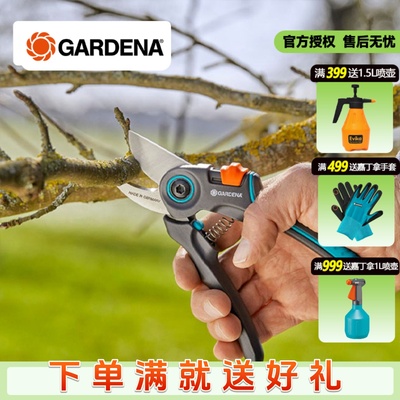 德国进口修枝剪嘉丁拿果树采摘剪枝修枝剪刀园艺剪盆景花木细枝剪