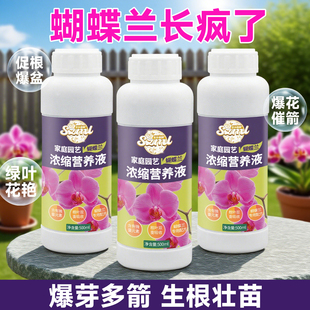生长魔励蝴蝶兰营养液家用花卉兰科植物通用室内墨兰盆栽生根专用