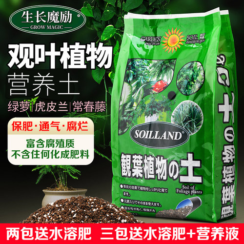 营养土观叶专用绿萝发财树盆栽