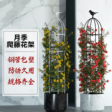 玫瑰花架落地 塑料支撑架大型月季花卉花盆铁线莲固定支架爬藤架