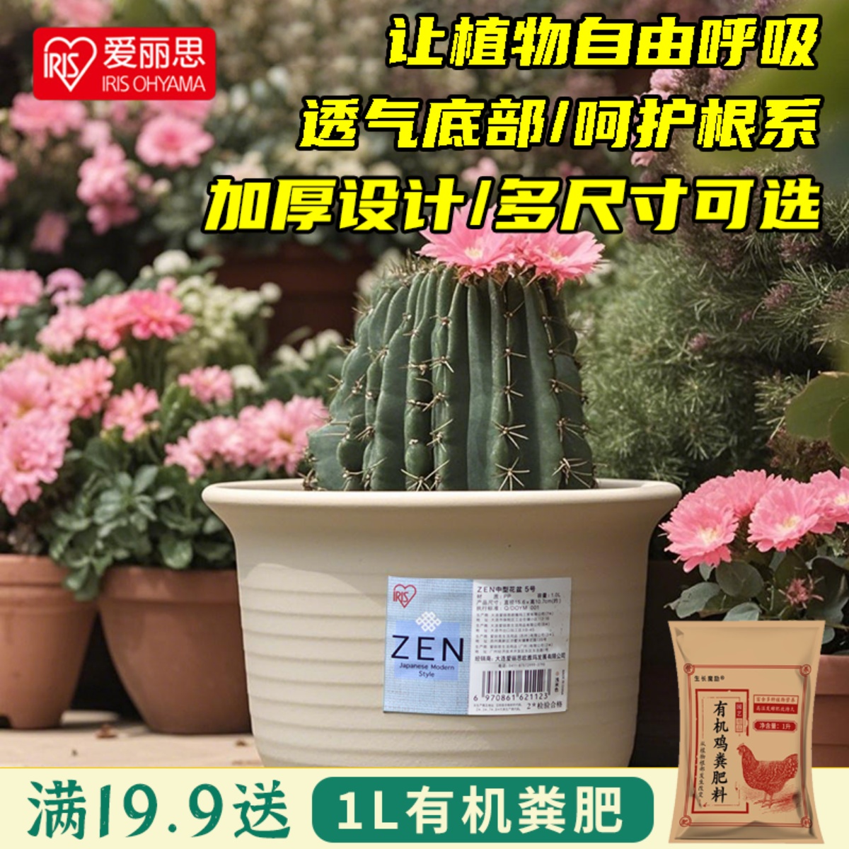 爱丽思中钵圆形花盆多肉植物盆栽