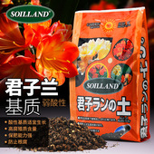 生长魔励营养土君子兰专用土花卉盆栽室内兰科植物肥料土壤养花土