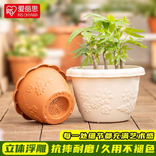 中钵多肉兰花塑料加仑植物创意