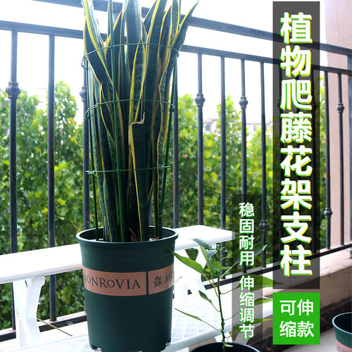 花盆盆栽支架爬藤花架