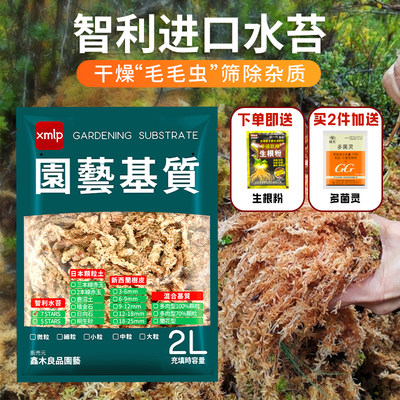 进口毛毛虫水苔干苔藓吸水