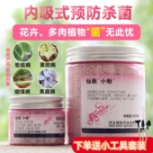 仙葩 杀菌剂 纹枯病 噻呋酰胺