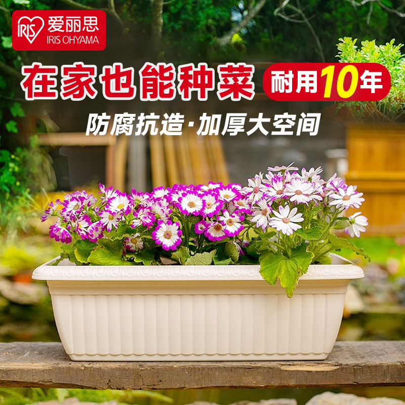 爱丽思树脂种菜长条简约风陶瓷