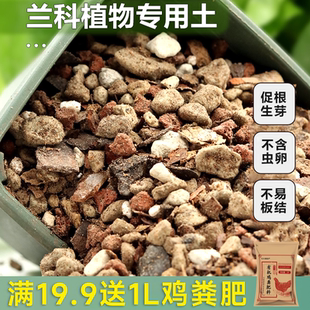 兰科植物专用配方营养土君子兰洋兰国兰家用养花种植土颗粒培养土