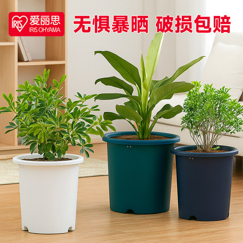 爱丽思Deepot深型花盆月季铁线莲