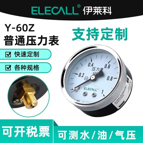 伊莱科Y-60ZT轴向/带边压力表