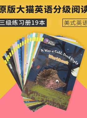柯林斯大猫英语分级阅读三级黄色练习册19册Collins American English Big Cat Yellow 3 美式英语读物6-8岁推荐