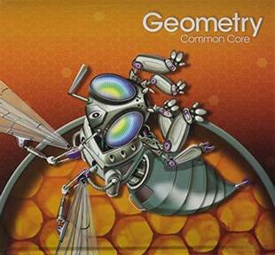 2015 GEOMETRY SCHOOL STUDENT GRADE MATH EDITION CORE HIGH COMMON