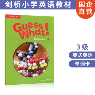 小学英式 Guess 现货进口原版 单词卡片 What 3级 英语课程 剑桥少儿英语教材 剑少考试6 12岁综合教材