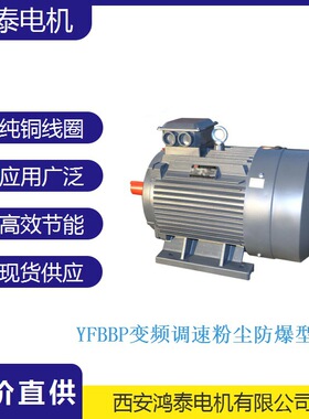 鸿泰变频调速粉尘防爆电机 YFBBP-160M-4 11KW 380V 电机设计高效