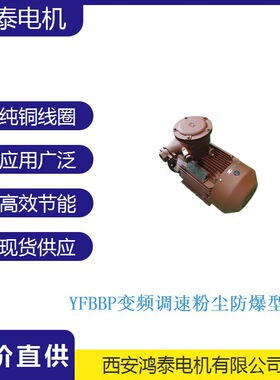 鸿泰低压变频粉尘防爆电机 YFBBP-315S-6 90KW 380V 密封设计良好