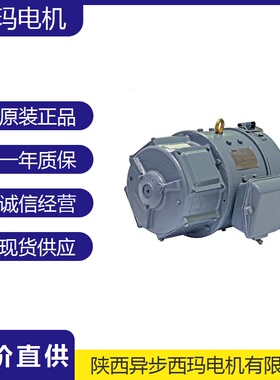 西安泰富西玛ZTP-11 0.8KW 110V铁路机车专用直流电机3000转卧式