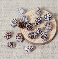 Около 2-3 см, окрашенные белые капли и рыхлые 20 капсул