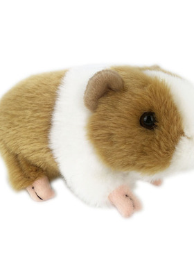 好品质 荷兰天竺鼠 豚鼠公仔 仿真动物毛绒玩具