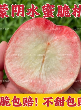 山东蒙阴正宗脆桃红不软脆桃新鲜脆桃硬桃脆甜山东大脆桃毛桃