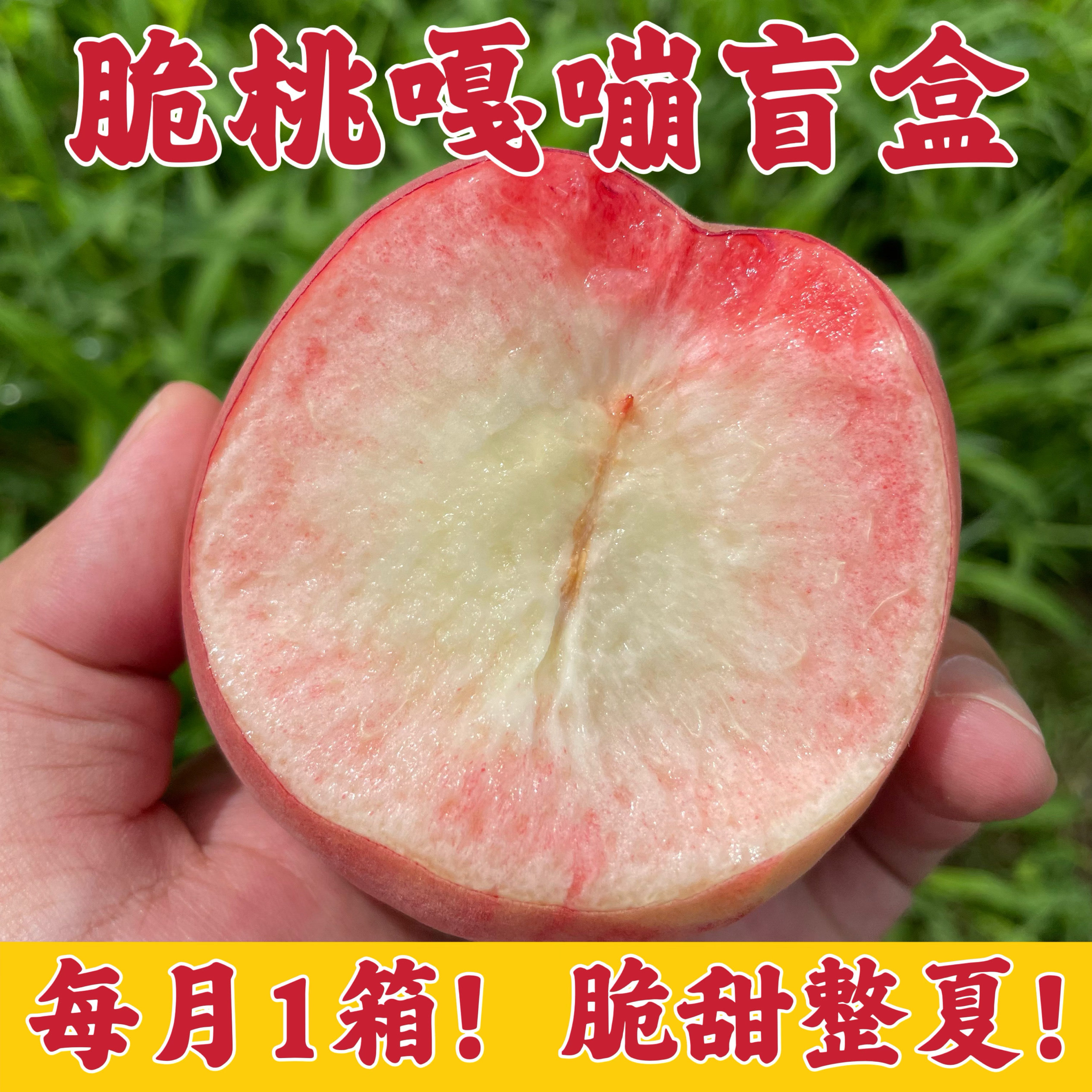 脆桃套装 | 山东蒙阴蜜桃脆桃硬桃红不软新鲜当季脆甜桃子