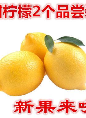 新鲜青黄甜柠檬黄柠檬当季纯天然水果现摘皮薄泡茶月子 2个体验装