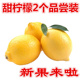 2个体验装 新鲜青黄甜柠檬黄柠檬当季 纯天然水果现摘皮薄泡茶月子