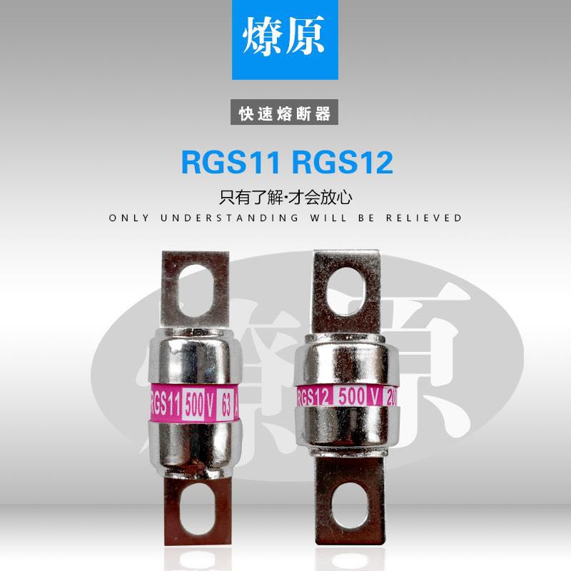 RGS11 RGS12 快速熔断器32A50A63A80A100A120A燎原防雷设备公司