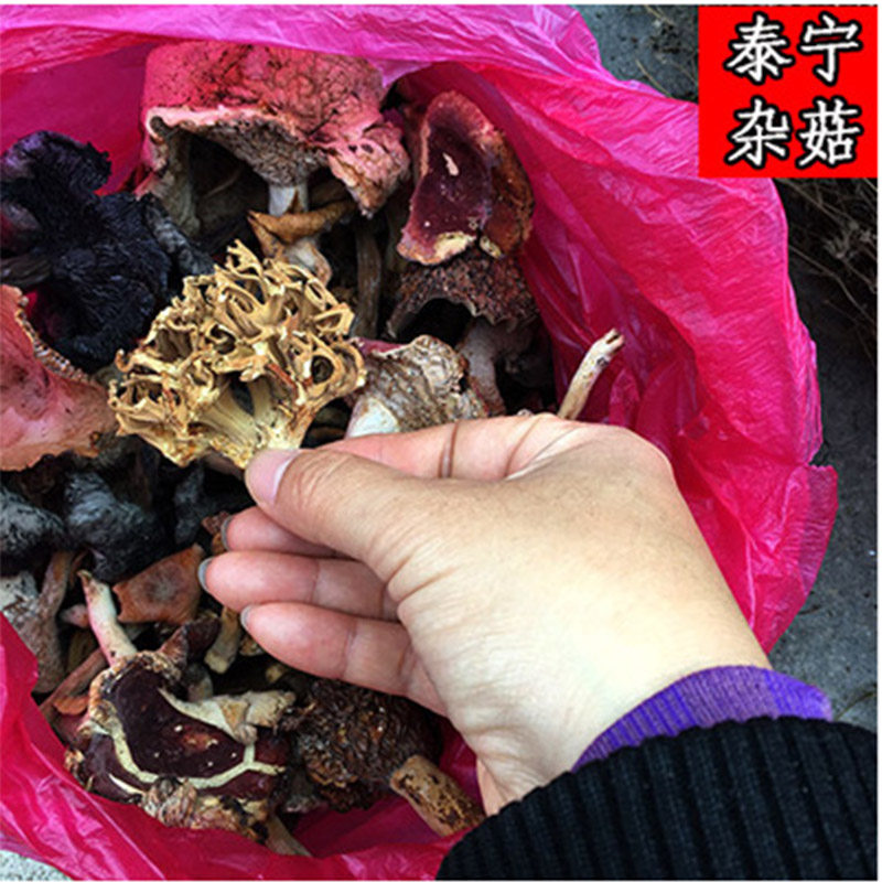 泰宁农家野生菌野蘑菇干货菇子干野杂菌杂菇干天然散装500g包邮