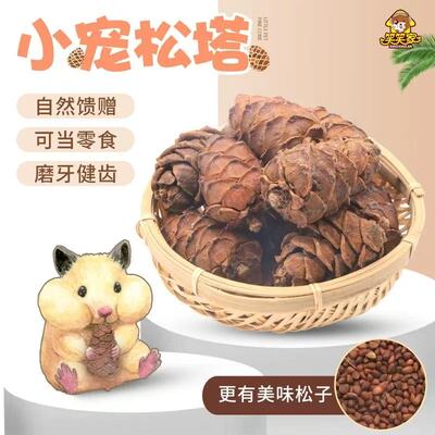 仓鼠松鼠金丝熊小宠零食天然马尾松塔营养坚果粮食磨牙零食