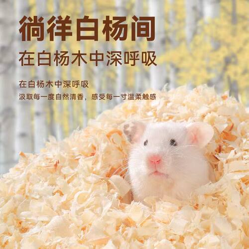 仓鼠木屑垫料白杨木刨花