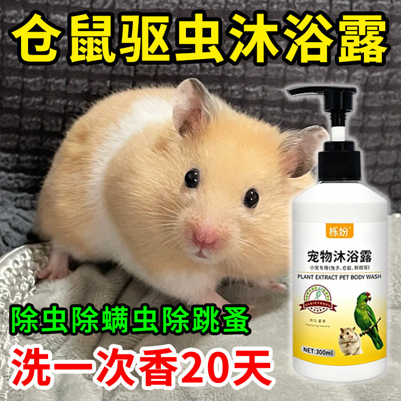 仓鼠沐浴露除臭专用豚鼠荷兰猪沐浴露抗菌除臭除螨豚鼠洗澡用品