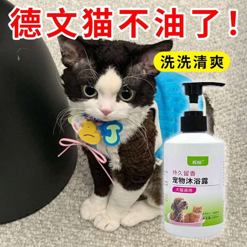 德文专用沐浴露亮白去黄狗狗白毛犬沐浴液宠物狗清洁用品香波