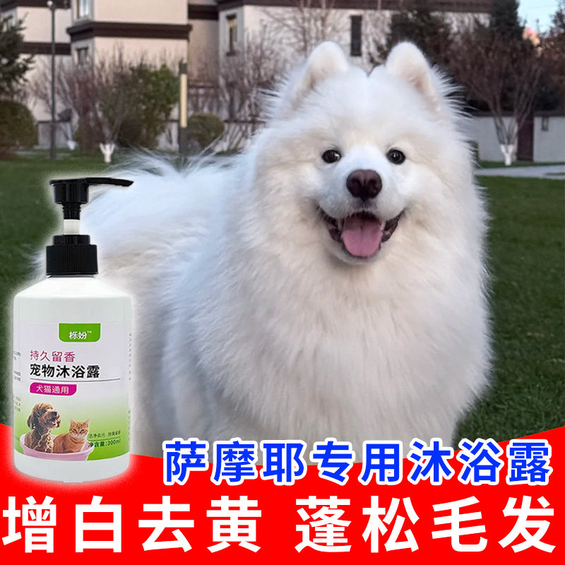 萨摩耶专用沐浴露亮白去黄狗狗白毛犬沐浴液宠物狗清洁用品香波