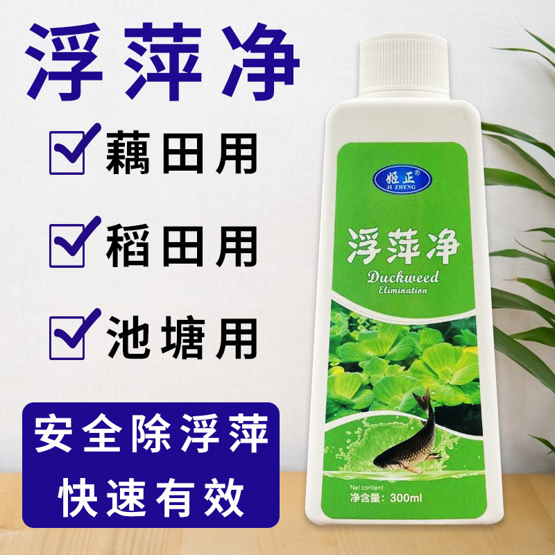 鱼池浮萍清除剂免打捞鱼塘除藻不伤鱼虾蟹去绿藻去除净水剂
