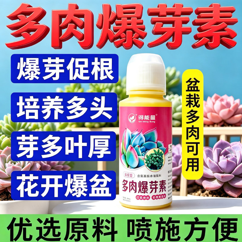 多肉爆芽素专用直喷爆芽王营养液优芽素激活节点助生长生根催芽剂