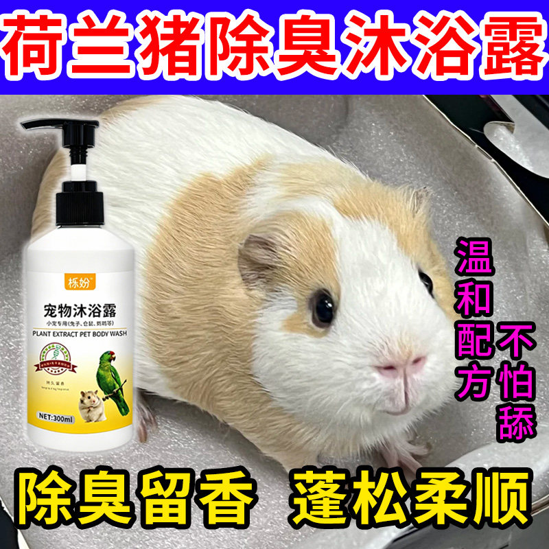 荷兰猪沐浴露除臭专用豚鼠荷兰猪沐浴露抗菌除臭除螨豚鼠洗澡用品